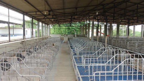 Imagen 8 de 14 de 12997 Katherine Castillo 0412-8567234 Venta Finca Ojo De Agua Via Acarigua