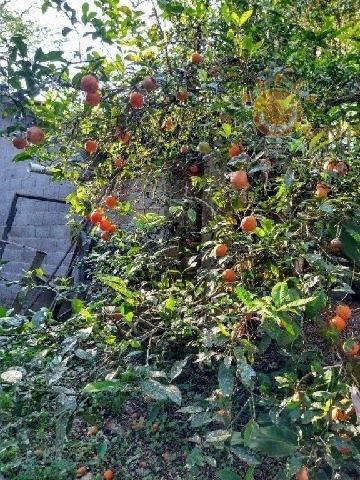 Imagem 12 de 20 de Venda - Chácara Zona Rural / Piedade/sp - 4222