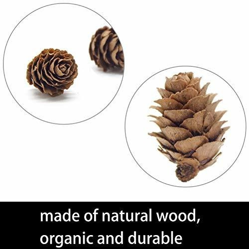Deloky 150 Piezas Mini Conos De Pino Natural Navideño: Ador