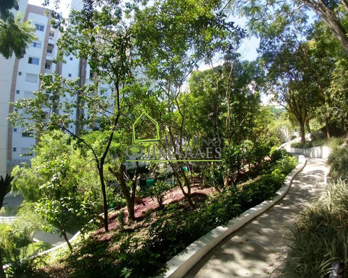 Imagem 29 de 30 de Apartamento Finamente Decorado, Pronto Pra Você Morar, Á Venda, Bairro João Paulo, Florianópolis Sc - Ap00565 - 68112799