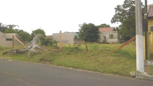 Imagem 3 de 3 de Terreno À Venda, 712 M² Por R$ 350.000,00 - Vera Cruz - Gravataí/rs - Te1738