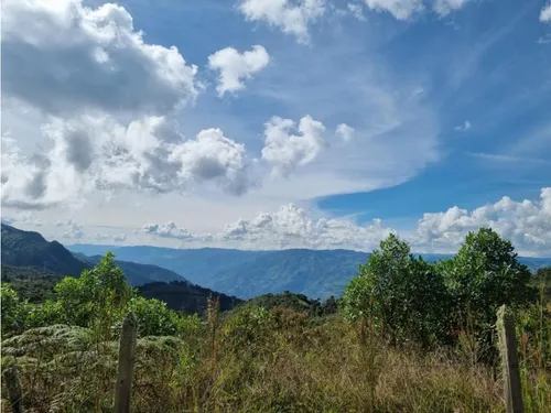 Lote En Vender En Barbosa