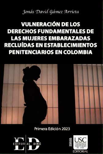 Vulneración de los derechos fundamentales de las mujeres e, de Jonas David Gamez Arrieta. Serie 6287529816, vol. 1. Editorial EDITORIAL DIKÉ SAS, tapa dura, edición 2023 en español, 2023