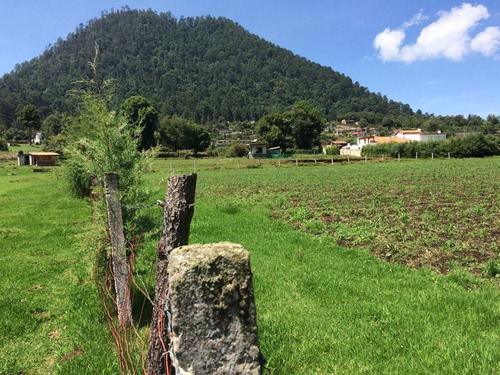 Imagen 1 de 12 de Terreno En Venta