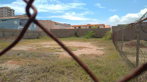 Imagen 3 de 4 de En Venta Terreno En Lecheria-zonificación R2- De 874 M2