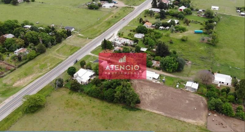Imagen 4 de 10 de Rincon De Nogoya - Terreno Sobre Ruta De 2.000 M2