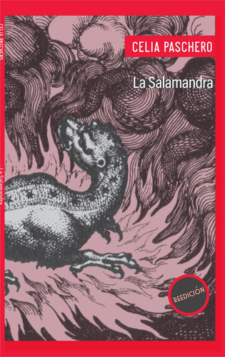 Imagen 1 de 3 de La Salamandra Novela De Celia Paschero