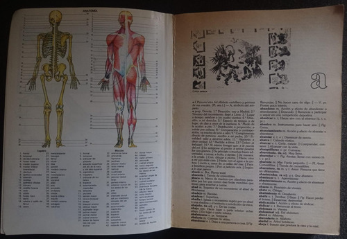 Larousse. Diccionario Escolar - Ramón García-pelayo (Usado)