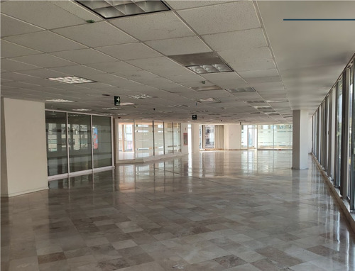 Imagen 4 de 9 de Renta - Oficina - Masaryk - 880m2- Piso 3