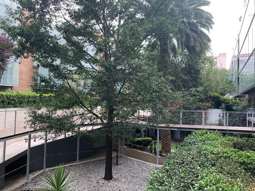 Rento Departamento En 3 Picos, Polanco