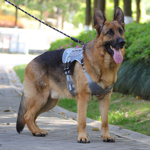 Táctico Pechera Arnés Con Correa Para Perro Mediano Grande