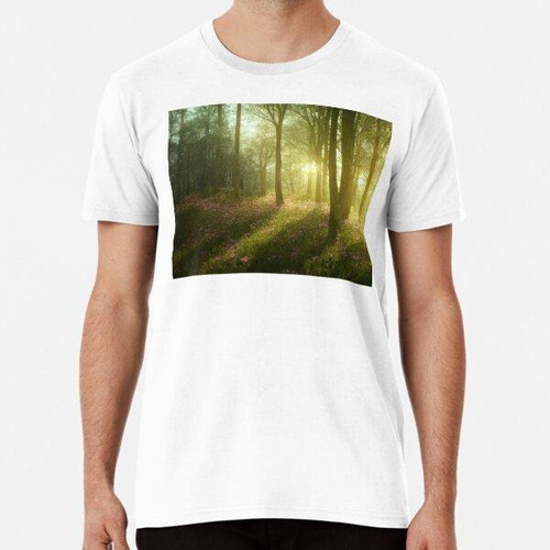 Remera Hermoso Paisaje De Bosques De Primavera Con Luz Dorad