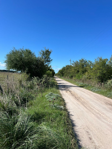 Campo En Venta De 36, 7 Hectáreas Con Manga, Potrero, Molino, Corrales