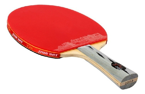Paleta de ping pong DHS 3002 negra y roja FL (Cóncavo)