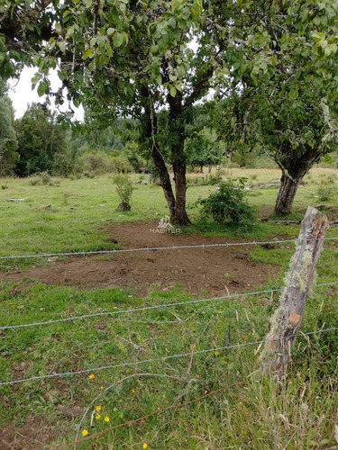 Imagen 4 de 30 de Agrícola En Venta En Ancud