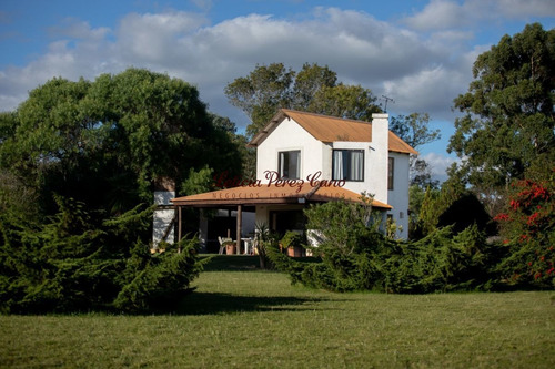 Imagen 8 de 22 de Venta Chacra En San Carlos 2 Has , Abra De Perdomo, Los Ceibos