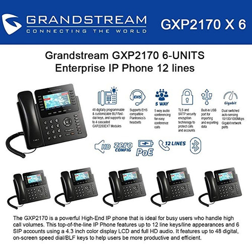 Grandstream Gxp2170 (paquete De 6) 12 Línea Telefónica Ip, V