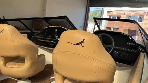 Piccini 229s Mercury 200hp + Trailer (canestrari Arco Iris)