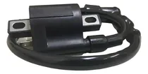 Comprar Bobina Alta Cg 125 \u002F Cg 150 \u002F Rk 150 \u002F Ttx 150 \u002F 250 Allen