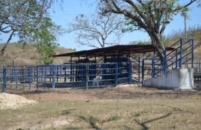 Imagen 6 de 14 de Venta Finca Tinaquillo Plano Pozo Tanque Cod. 422543 Cesar Laurentin