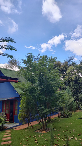 Chalé Com Piscina Na Natureza