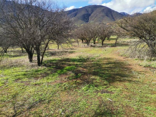 Oportunidad Terreno En Fundo Alhué Curacavi