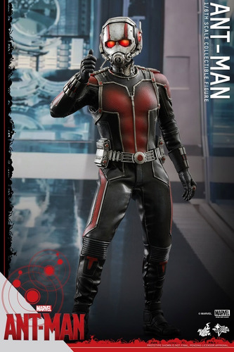 Ant-man   Hot Toys