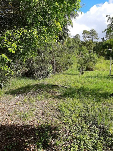 Imagem 2 de 18 de Chácara 6.500 M² - Vila Moraes Em Mogi Das Cruzes - Sp