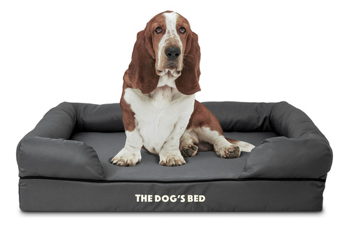 The Dog's Bed - Cama Ortopedica Para Perro, Color Gris Grand