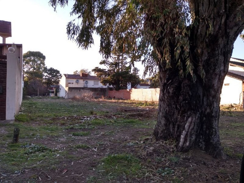 Imagen 2 de 10 de Terreno En Venta En San Bernardo