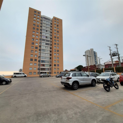 Departamento Venta 2 Dormitorios Cerro Barón, Valparaíso