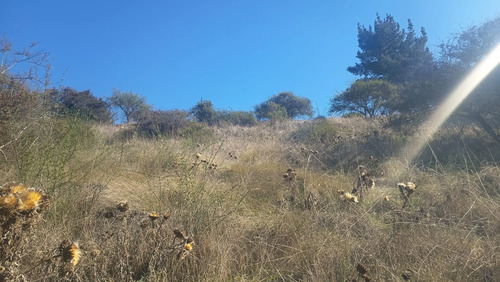 Parcela 1 Hectárea Para Proyecto Sustentable | Navidad