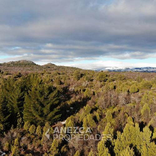 Campo De 8 Hectáreas - Costa Lago Lezama - Cholila