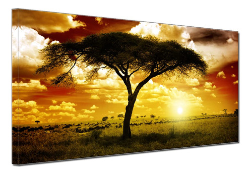 Arbol Africano, Puesta De Sol, Paisaje, Animal, Sofa, Oficin