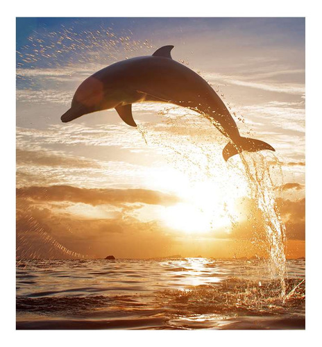 Vinilo 20x20cm Delfines Delfin Saltando Mar Soleado