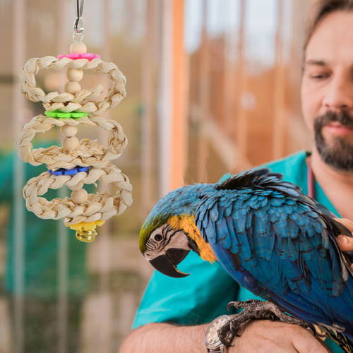 Bird Ladder Swing Stand Parrot Toy