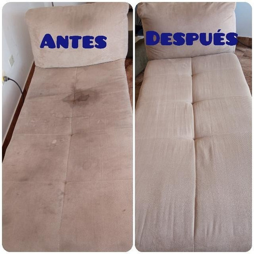 Imagen 7 de 9 de Lavado De Alfombras Y Muebles A Domicilio