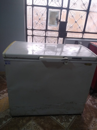 Congeladora Friolux / F-318 L