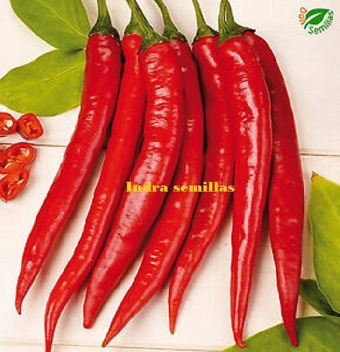 Pimientos Rojo Picante Chilli Red (20)