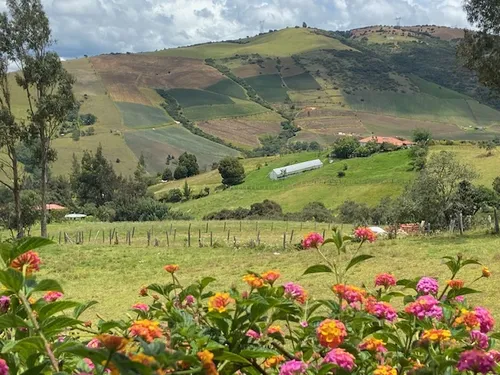 En Venta Hermosa Casa Finca Ubicada En Guasca, Cundinamarca (17949).