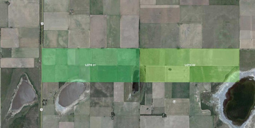 Imagen 8 de 8 de Se Vende Campo De 406 Has, En Embajador Martini, La Pampa