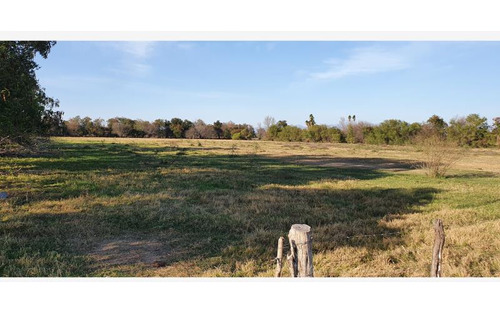 Terreno En Venta En La Arena