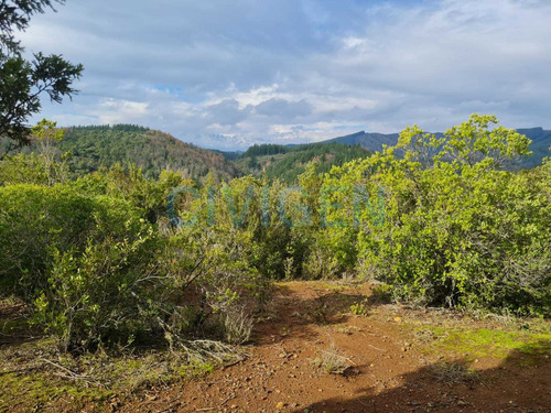 Tranquila Parcela 0,5ha Tranquilidad (92297)