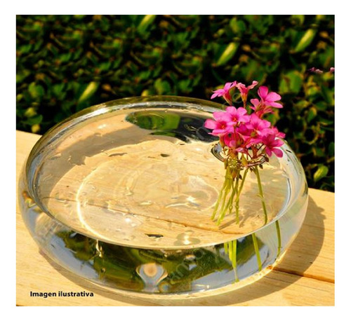 Florero Centro De Mesa Redondo 25 Cm De Diámetro