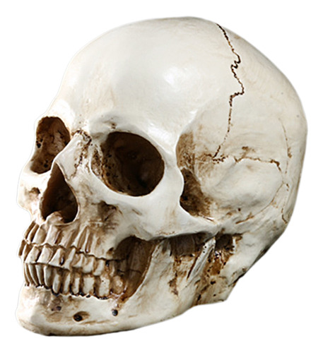 Lifesize 1: 1 Prop Model White Human Resin