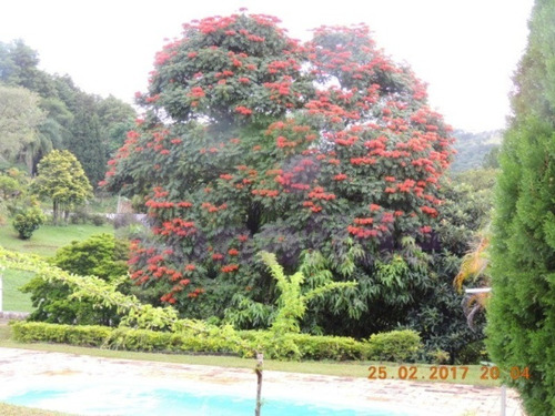 Imagem 8 de 20 de Chácara, Pau Arcado, Campo Limpo Paulista - Ch07848 - 69263438