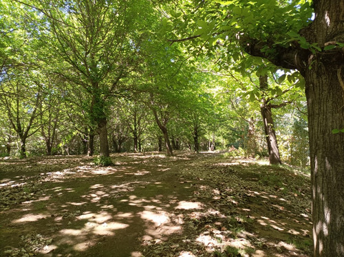 Parcela Ubicada En El Sector Capilla Sur 