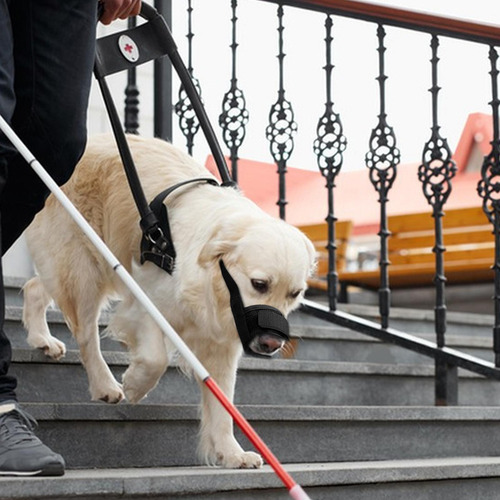 Bozal Para Perro Con Hocico Corto Bozal Suave Para Perros Pe
