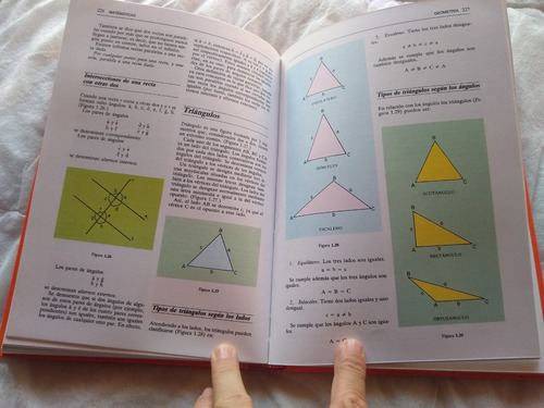 Libro De Areas Consultor Didactico, Matematica