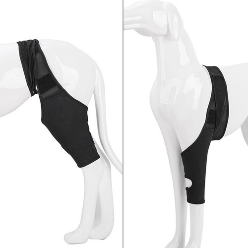 Soporte De Rodilla Para Patas Traseras Para Perros, De Neopr